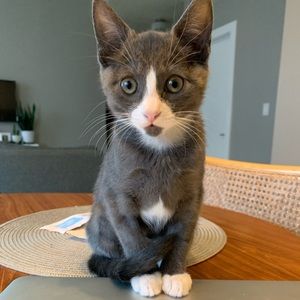 Meet your Posher, Alison